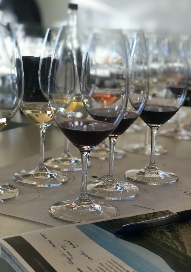 Prova de vinhos